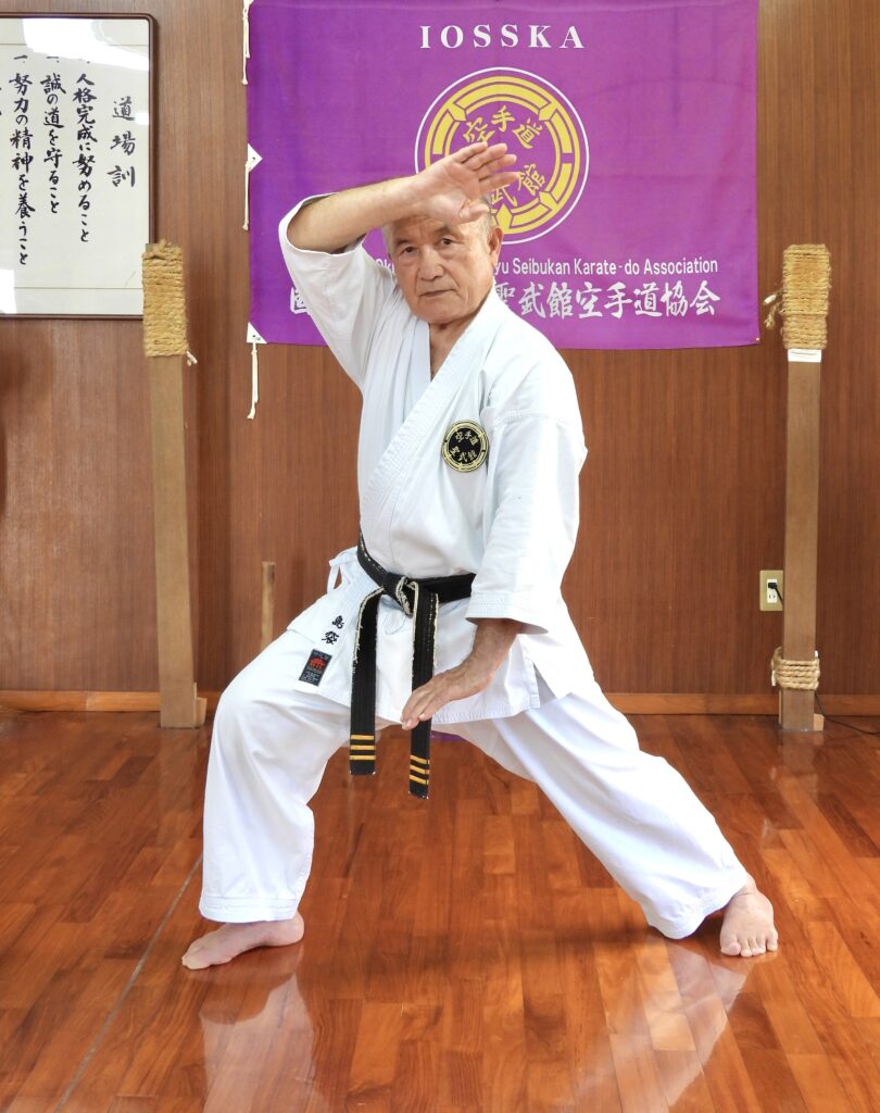 Shorin-Ryu Seibukan – Tradition, Technik und Persönlichkeit