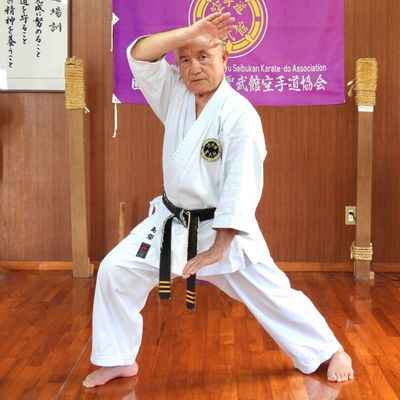 Shorin-Ryu Seibukan – Tradition, Technik und Persönlichkeit