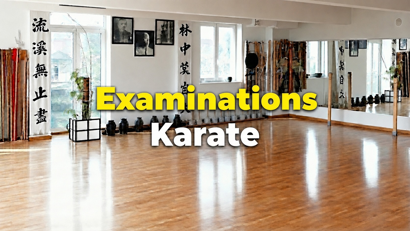Karate Examination